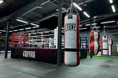 Martial arts sports club SKBI Varyag on Dynamo