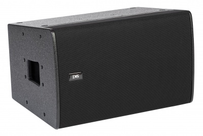 DS Proaudio ERA-i 1210 FP